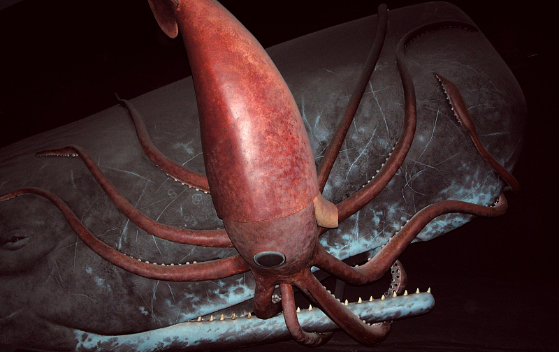 Giant squid and sperm whale